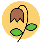 Flower SVG Icon